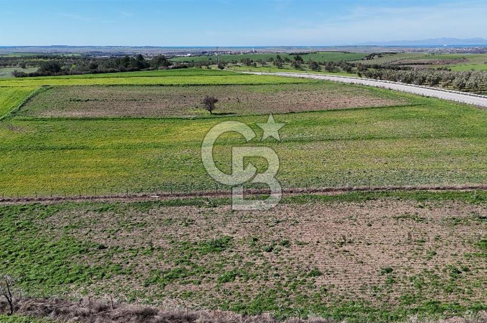 ÇANAKKALE MERKEZ GÖKÇALI KÖYÜ’NDE 10 DÖNÜM YATIRIMLIK TARLA