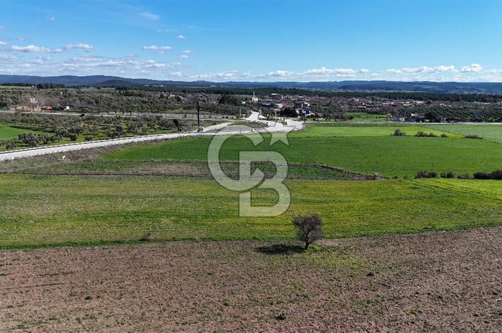 ÇANAKKALE MERKEZ GÖKÇALI KÖYÜ’NDE 10 DÖNÜM YATIRIMLIK TARLA