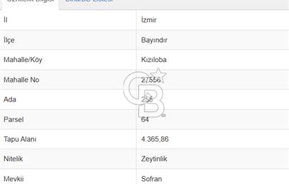 Manzaralı, Verimli Zeytinlik: 4365m², 450 Ağaç, Yatırım Fırsatı!