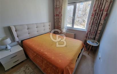 TEMELLİ TOKİ KİRALIK 1+1