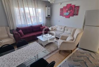 TEMELLİ TOKİ KİRALIK 1+1 - 3 - 335024