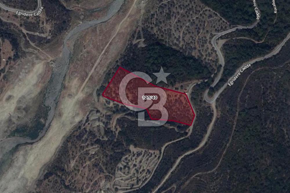 Seferihisar Beyler'de Yola Cepheli, Baraj Manzaralı Arazi