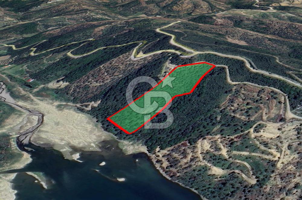 Seferihisar Beyler'de Yola Cepheli, Baraj Manzaralı Arazi