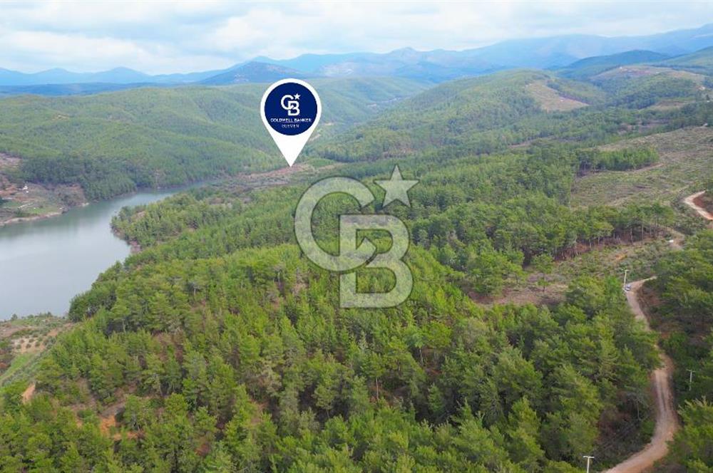 BAYIR'DA KURULUMA HAZIR 27.541 M2 GES SANTRALİ SAHASI