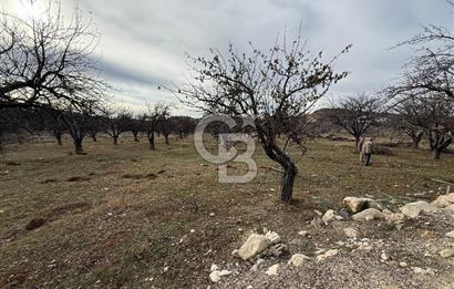 SİLİFKE MARA'DA SATILIK İMARLI ARSA