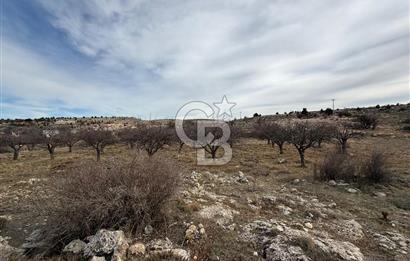 SİLİFKE MARA'DA SATILIK İMARLI ARSA