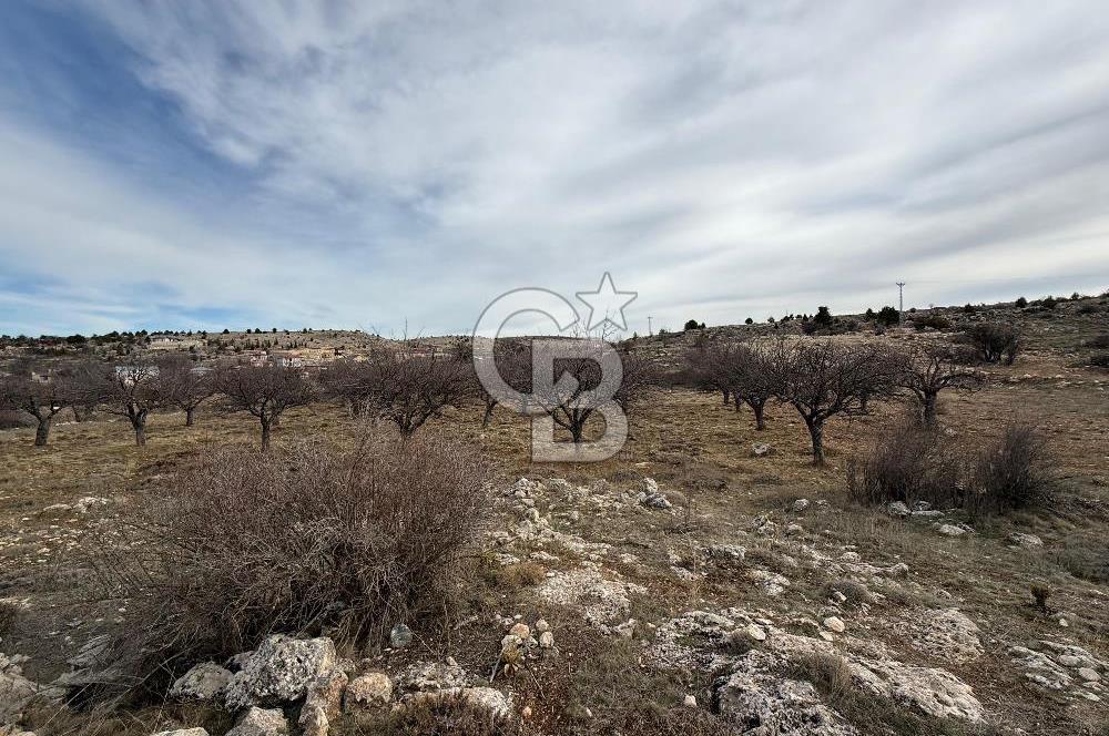 SİLİFKE MARA'DA SATILIK İMARLI ARSA