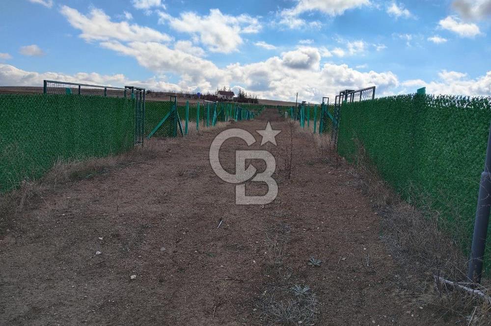 GÖLBAŞINDA 7 ADET 400 M² ARSA - EVLE TAKAS OLUR 