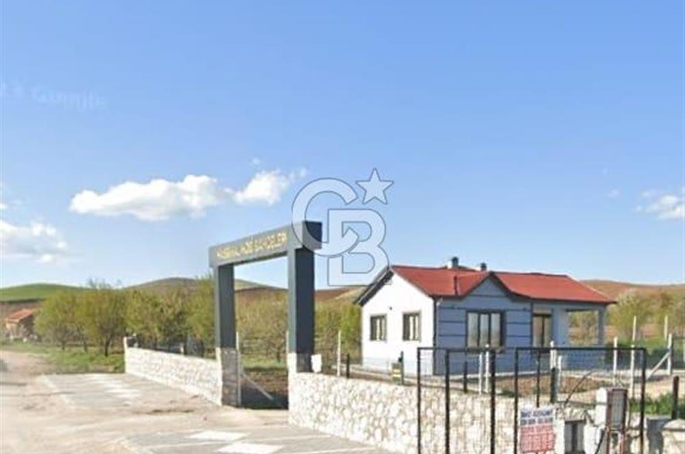 ŞEHİRDEN UZAK, KAZANCA YAKIN ÇUBUK'TA TARLA