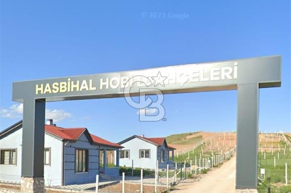 ŞEHİRDEN UZAK, KAZANCA YAKIN ÇUBUK'TA TARLA