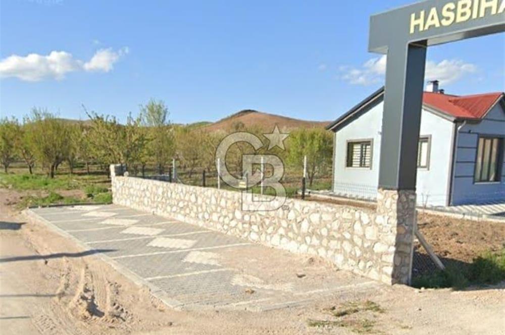 ŞEHİRDEN UZAK, KAZANCA YAKIN ÇUBUK'TA TARLA