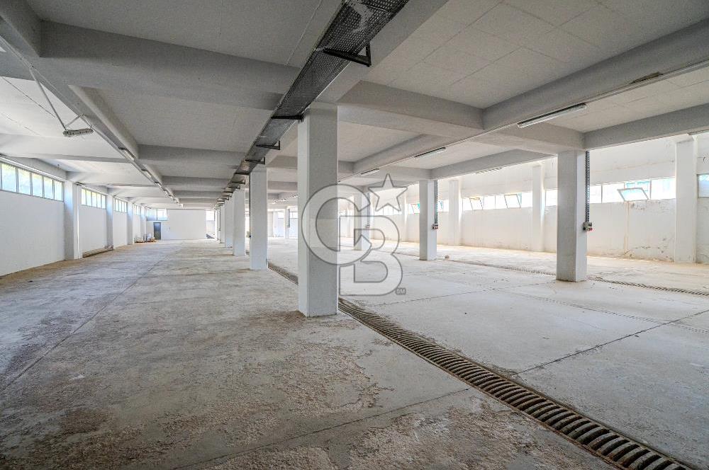 MENEMEN MALTEPE SERBEST BÖLGESİ | RUHSATLI & İSKANLI 5.130 m² KAPALI ALANLI FABRİKA