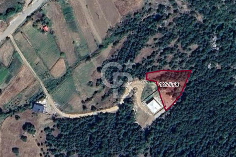 CB'DEN AVGASIR DA MÜSTAKİL TAPULU MANZARALI SATILIK TARLA