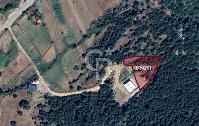 CB'DEN AVGASIR DA MÜSTAKİL TAPULU MANZARALI SATILIK TARLA