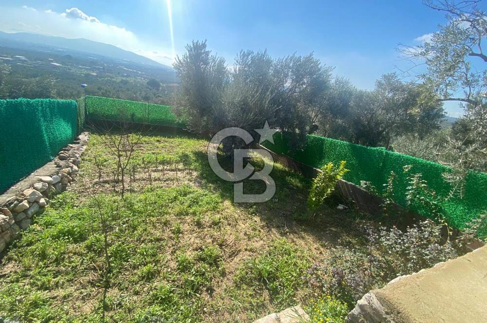 Museland-Torbalı'da Satılık Zeytinlik ve Prefabrik Ev 