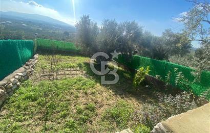 Museland-Torbalı'da Satılık Zeytinlik ve Prefabrik Ev 