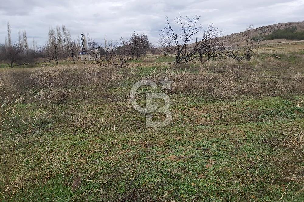 Afyon-Dazkırı Barbaros Mah.de İmarlı Arsalara Yakın 624 m² Satılık Tarla