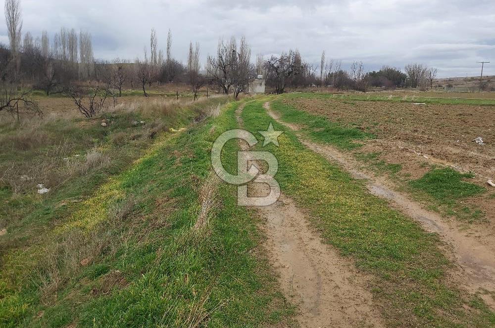 Afyon-Dazkırı Barbaros Mah.de İmarlı Arsalara Yakın 624 m² Satılık Tarla