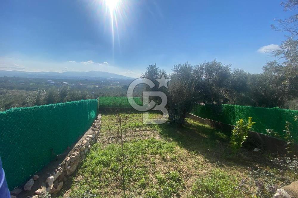 Museland-Torbalı'da Satılık Zeytinlik ve Prefabrik Ev 