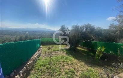 Museland-Torbalı'da Satılık Zeytinlik ve Prefabrik Ev 