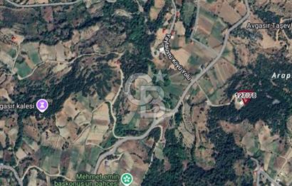 CB'DEN AVGASIR DA MÜSTAKİL TAPULU MANZARALI SATILIK TARLA