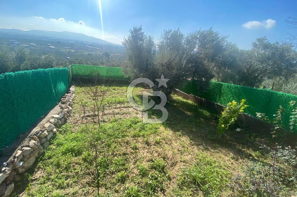 Museland-Torbalı'da Satılık Zeytinlik ve Prefabrik Ev 