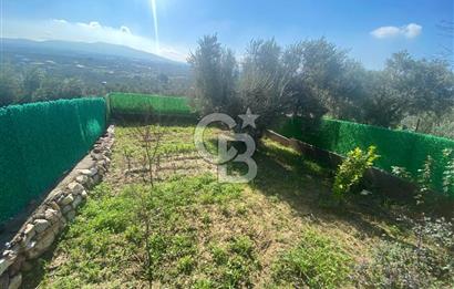 Museland-Torbalı'da Satılık Zeytinlik ve Prefabrik Ev 