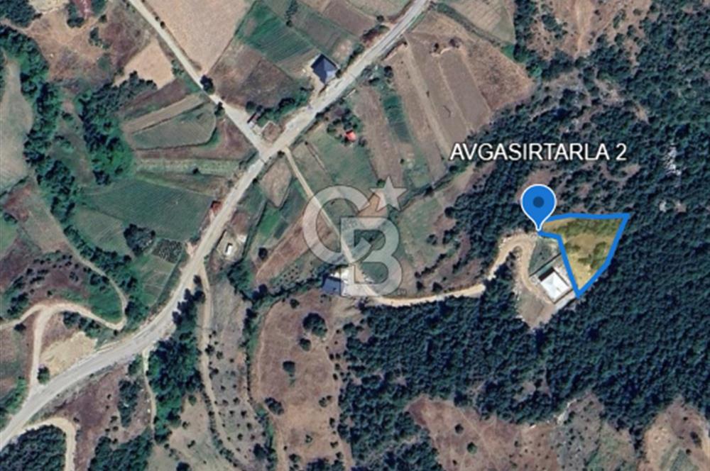 CB'DEN AVGASIR DA MÜSTAKİL TAPULU MANZARALI SATILIK TARLA