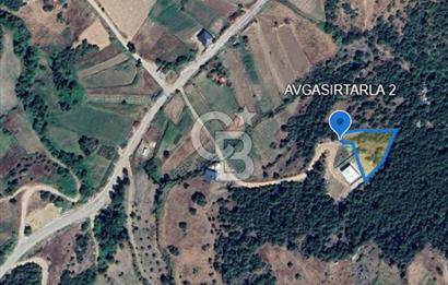 CB'DEN AVGASIR DA MÜSTAKİL TAPULU MANZARALI SATILIK TARLA