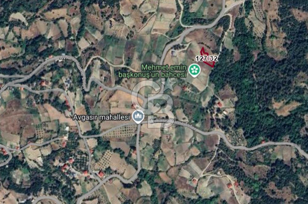 COLDWELL BANKER'DEN AVGASIR DA MÜSTAKİL TAPULU SATILIK TARLA