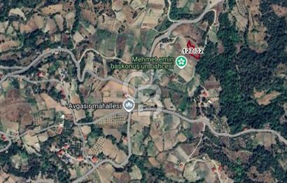 COLDWELL BANKER'DEN AVGASIR DA MÜSTAKİL TAPULU SATILIK TARLA