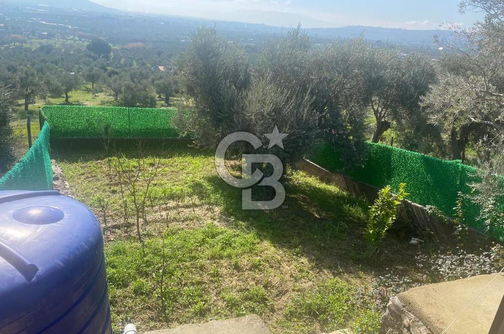 Museland-Torbalı'da Satılık Zeytinlik ve Prefabrik Ev 