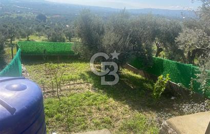 Museland-Torbalı'da Satılık Zeytinlik ve Prefabrik Ev 