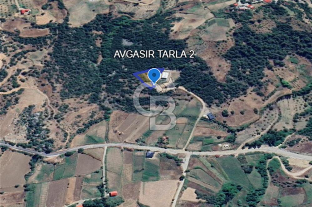 CB'DEN AVGASIR DA MÜSTAKİL TAPULU MANZARALI SATILIK TARLA