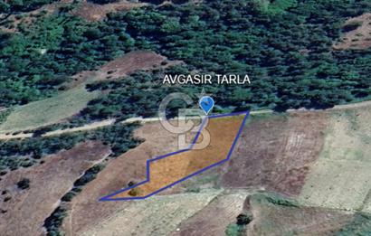 COLDWELL BANKER'DEN AVGASIR DA MÜSTAKİL TAPULU SATILIK TARLA