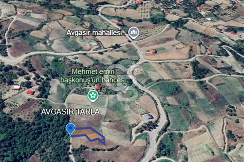 COLDWELL BANKER'DEN AVGASIR DA MÜSTAKİL TAPULU SATILIK TARLA