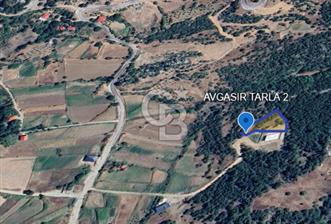 CB'DEN AVGASIR DA MÜSTAKİL TAPULU MANZARALI SATILIK TARLA - 1 - 335140