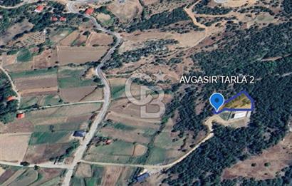 CB'DEN AVGASIR DA MÜSTAKİL TAPULU MANZARALI SATILIK TARLA
