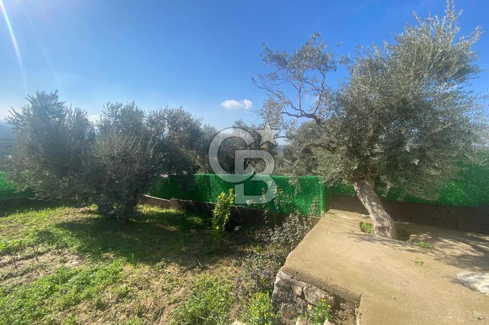 Museland-Torbalı'da Satılık Zeytinlik ve Prefabrik Ev 