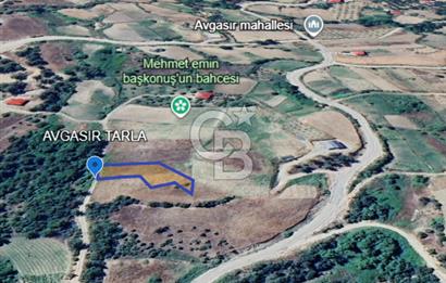 COLDWELL BANKER'DEN AVGASIR DA MÜSTAKİL TAPULU SATILIK TARLA