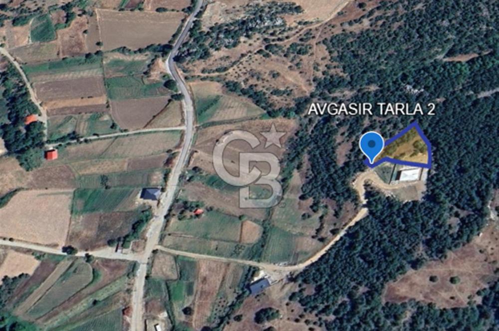 CB'DEN AVGASIR DA MÜSTAKİL TAPULU MANZARALI SATILIK TARLA