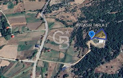 CB'DEN AVGASIR DA MÜSTAKİL TAPULU MANZARALI SATILIK TARLA