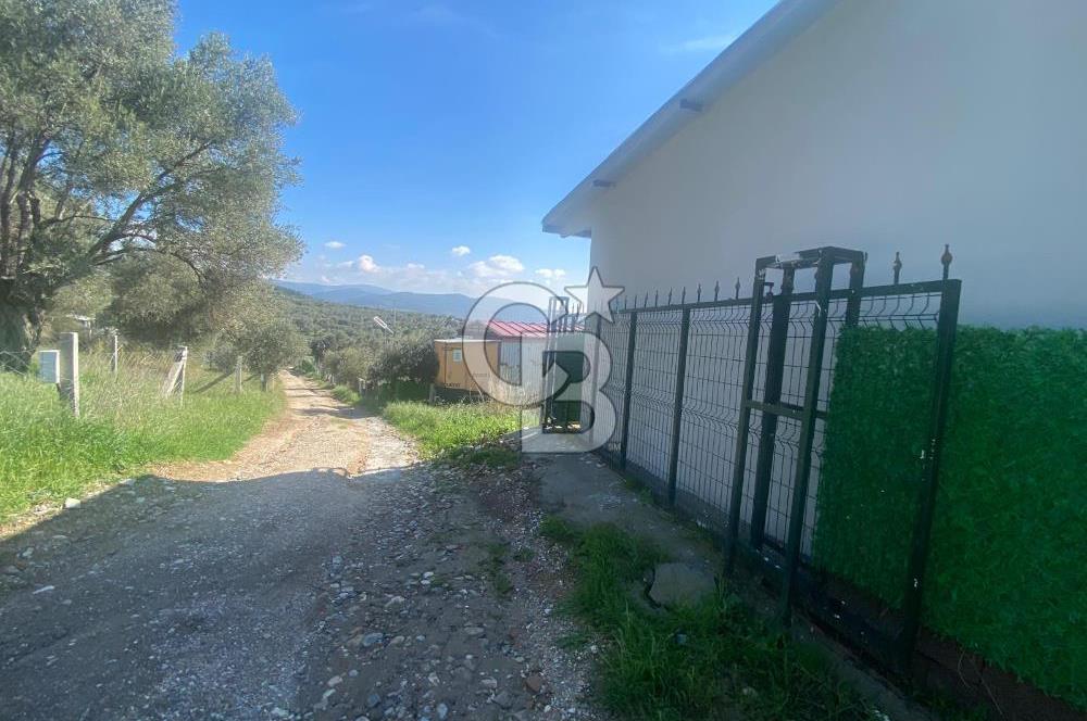 Museland-Torbalı'da Satılık Zeytinlik ve Prefabrik Ev 