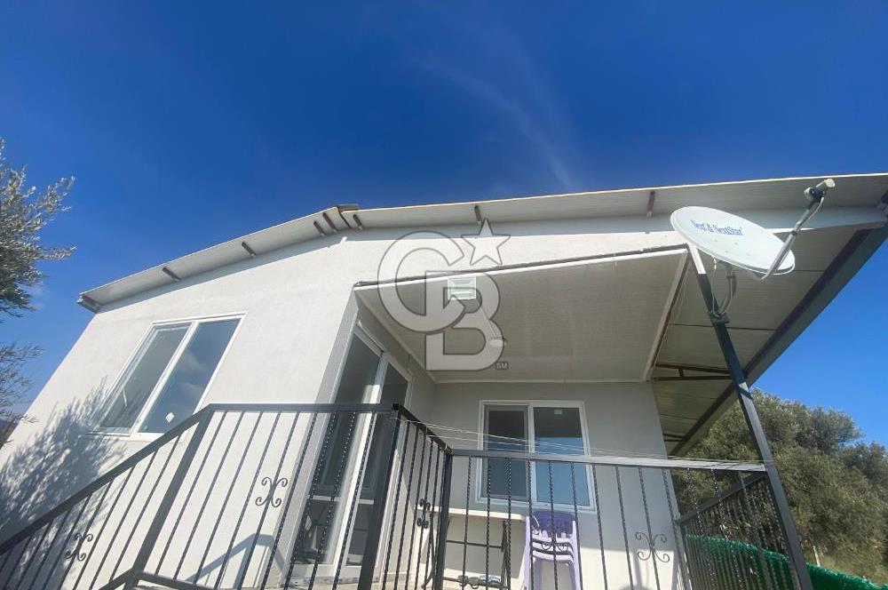 Museland-Torbalı'da Satılık Zeytinlik ve Prefabrik Ev 