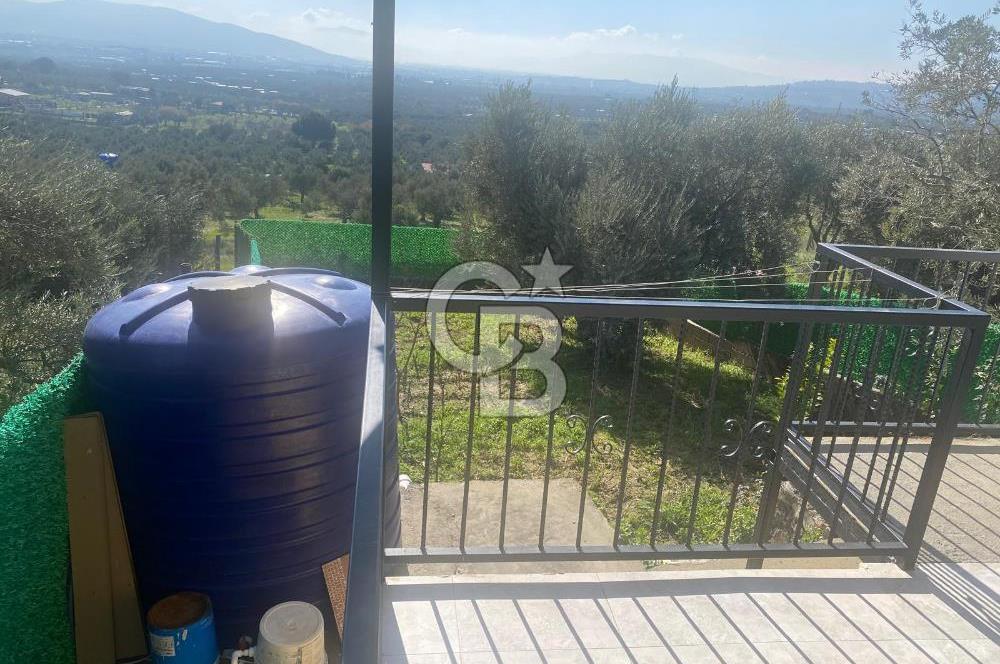 Museland-Torbalı'da Satılık Zeytinlik ve Prefabrik Ev 