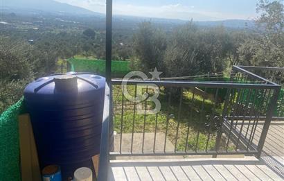 Museland-Torbalı'da Satılık Zeytinlik ve Prefabrik Ev 