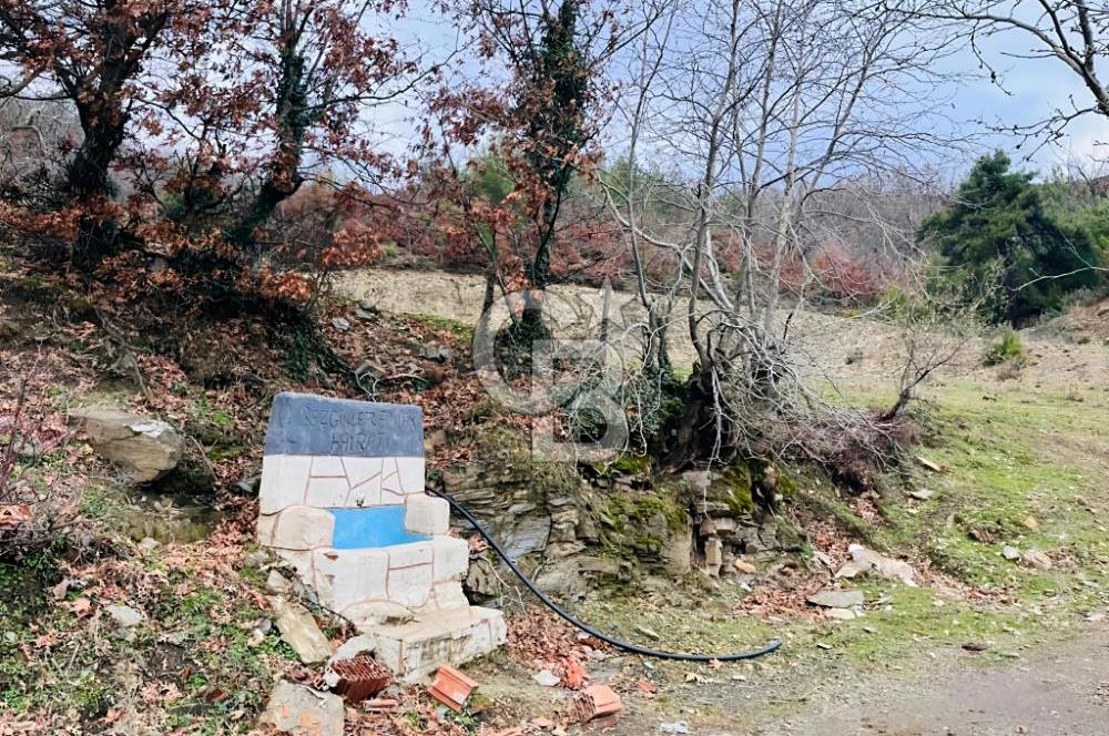 TURGUTLU HACIİSALAR'DA SATILIK ARSA