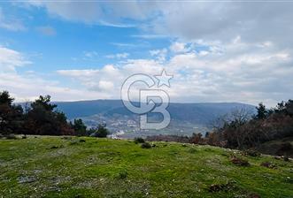 TURGUTLU HACIİSALAR'DA SATILIK ARSA - 1 - 335123