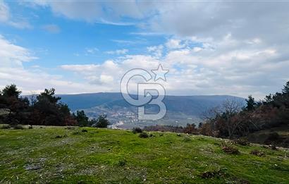 TURGUTLU HACIİSALAR'DA SATILIK ARSA