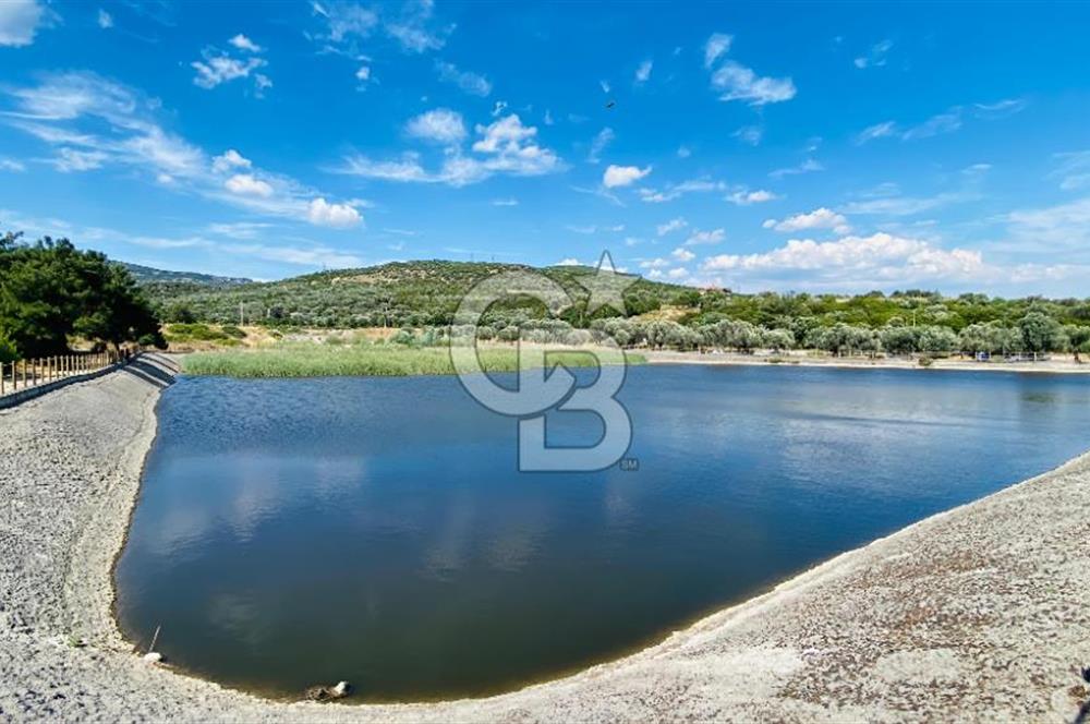 BORNOVA HOMEROS VADİSİNDE GÖLE KOMŞU SATILIK ARSA